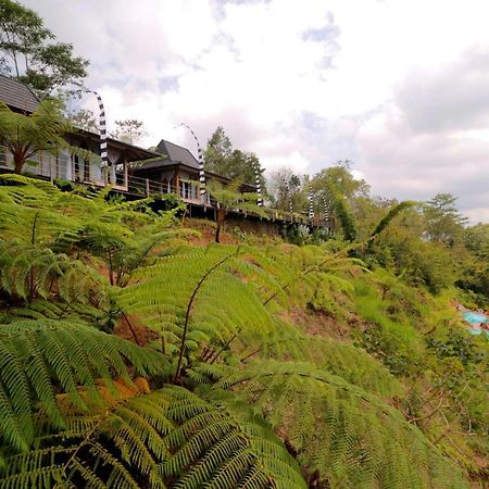 The Bejalin Eco Retreat Hotell Plaga Exteriör bild